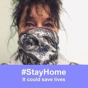 Meet your Posher, Bernie